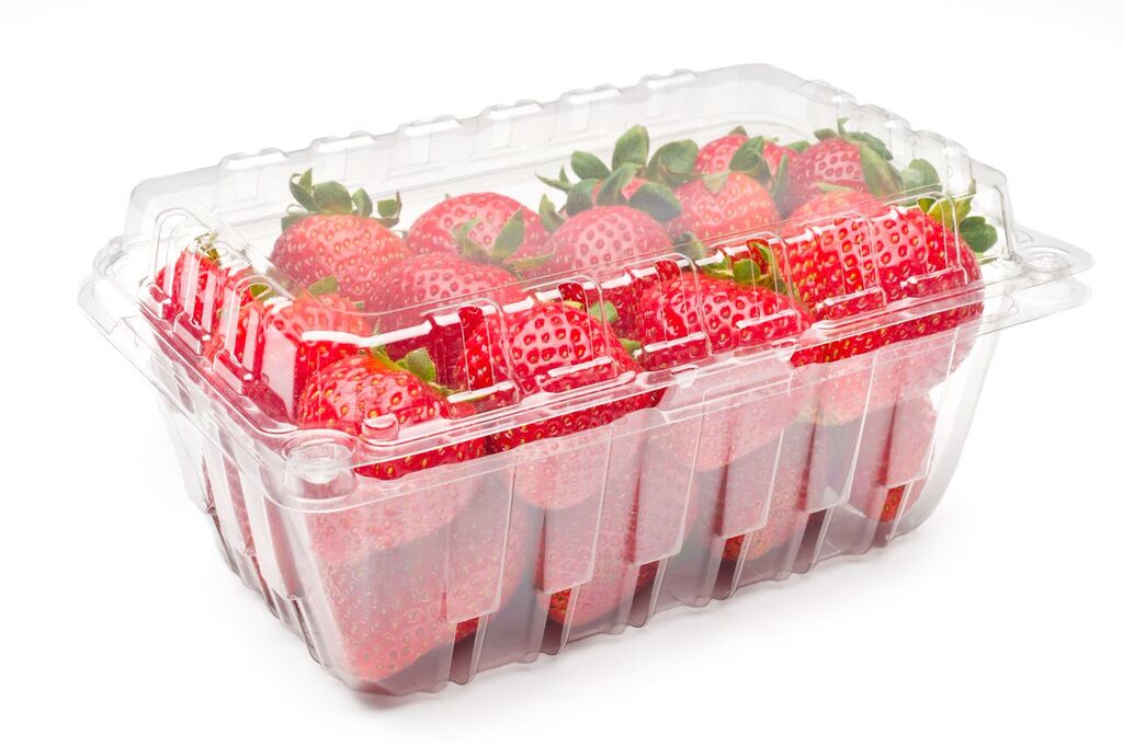 Disposable 500g PET Strawberry Plastic Container Fruits Packaging Clamshell  With Air Holes Manufacturers
